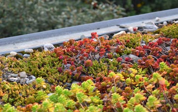 the cost of North Cheriton green roof installation