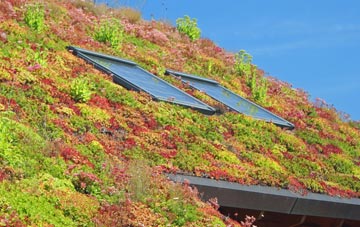 North Cheriton living roof systems